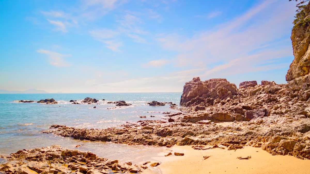 태안 파도리해변 태안 파도리해변