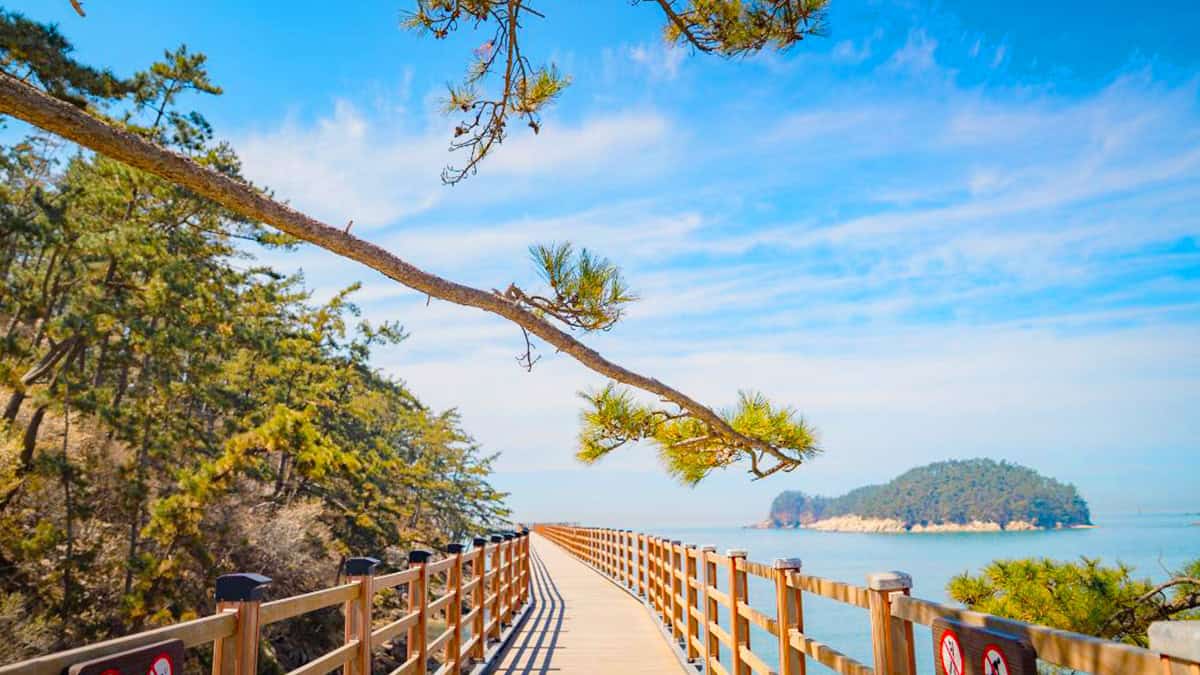 뭍닭섬 데크길 뭍닭섬 데크길