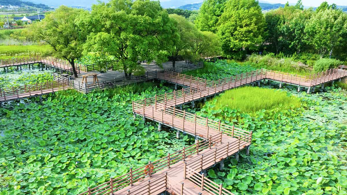 탑정호수변생태공원 탑정호수변생태공원