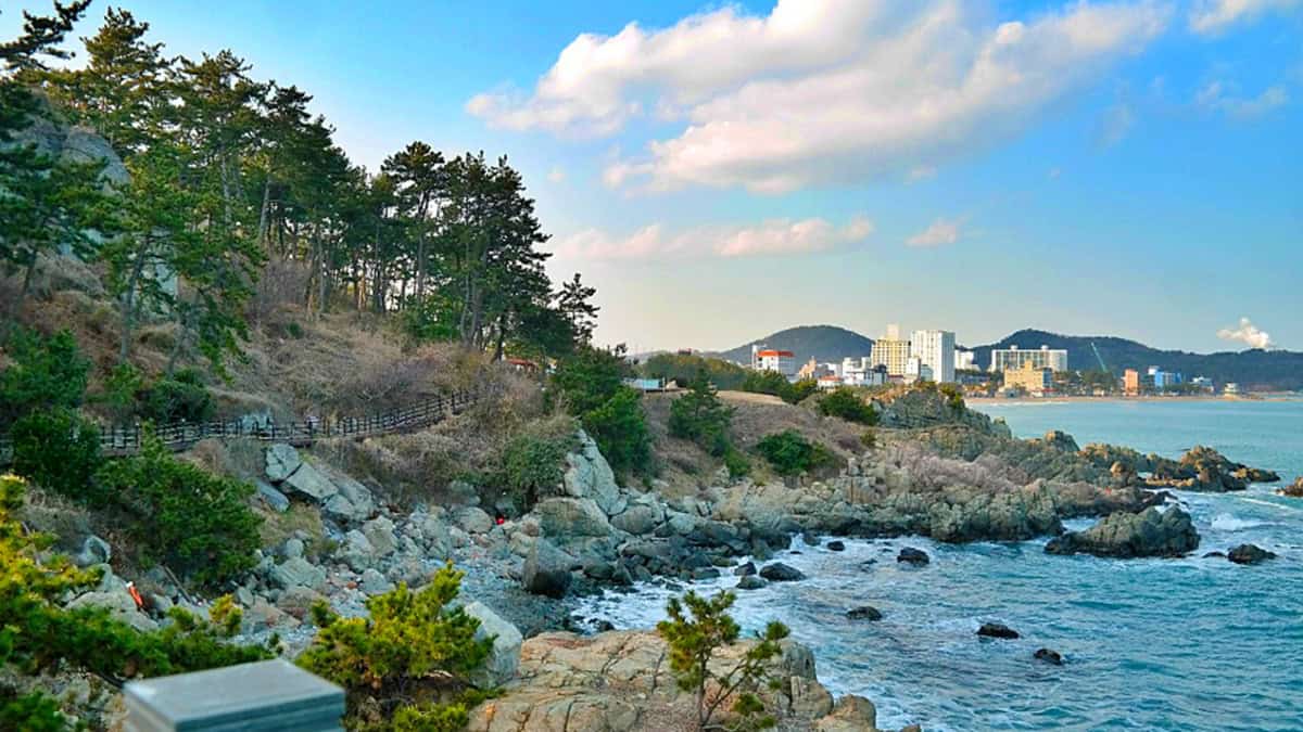 대바위공원 전경