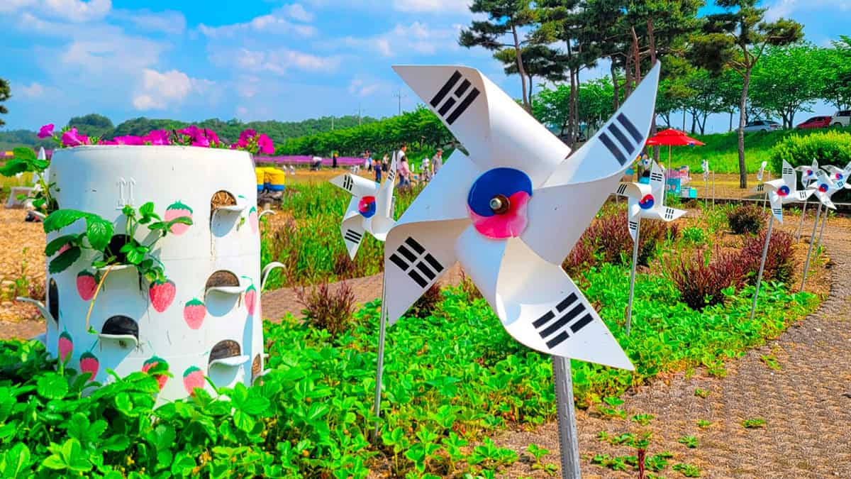 생태지구공원 생태지구공원