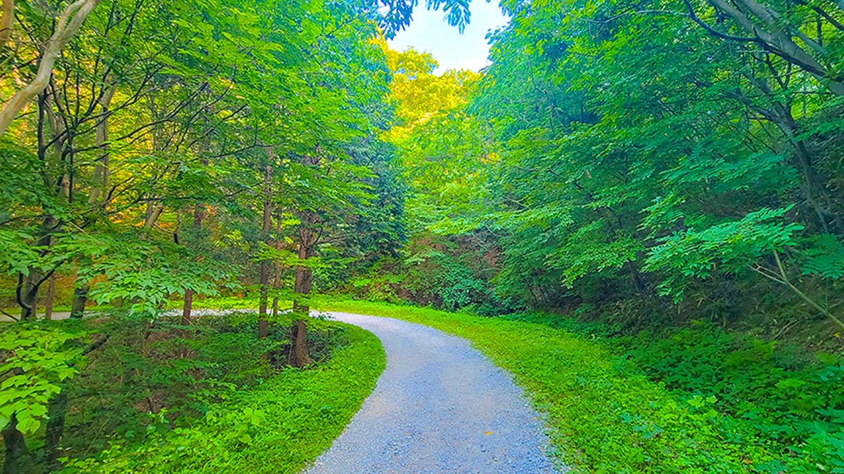 축령산 축령산