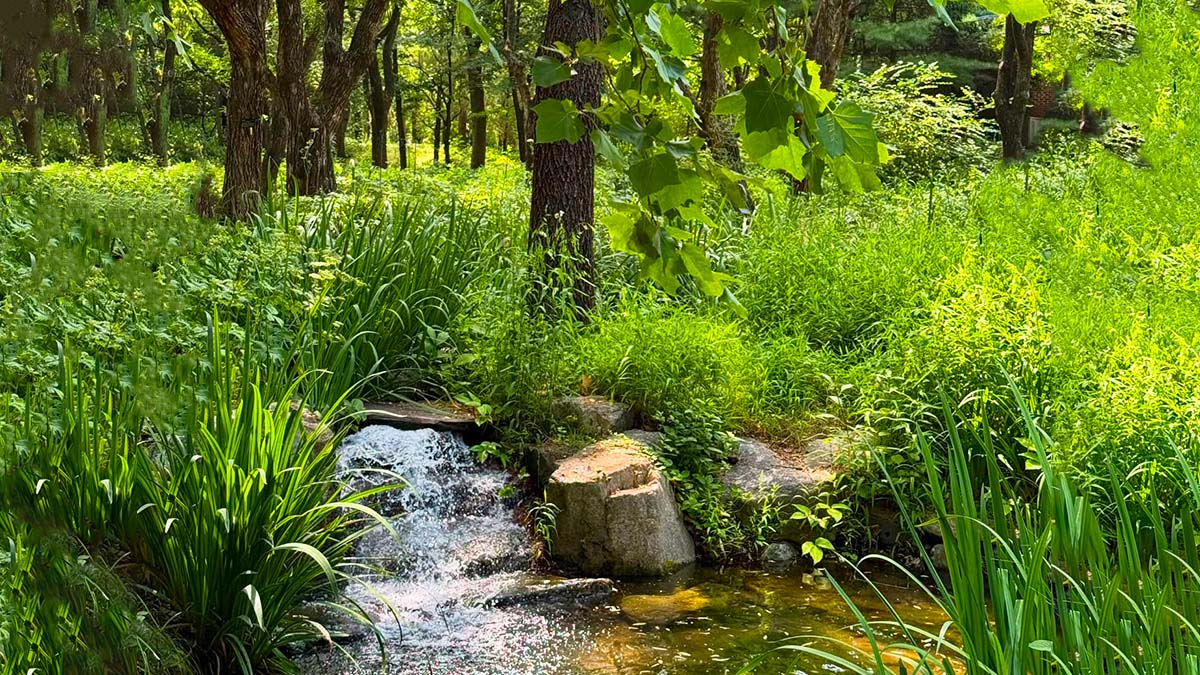 대구수목원 습지원