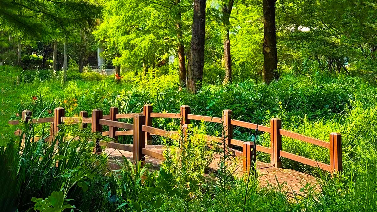 대구수목원 징검다리