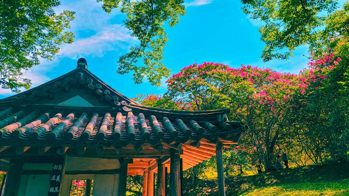 담양 명옥헌
