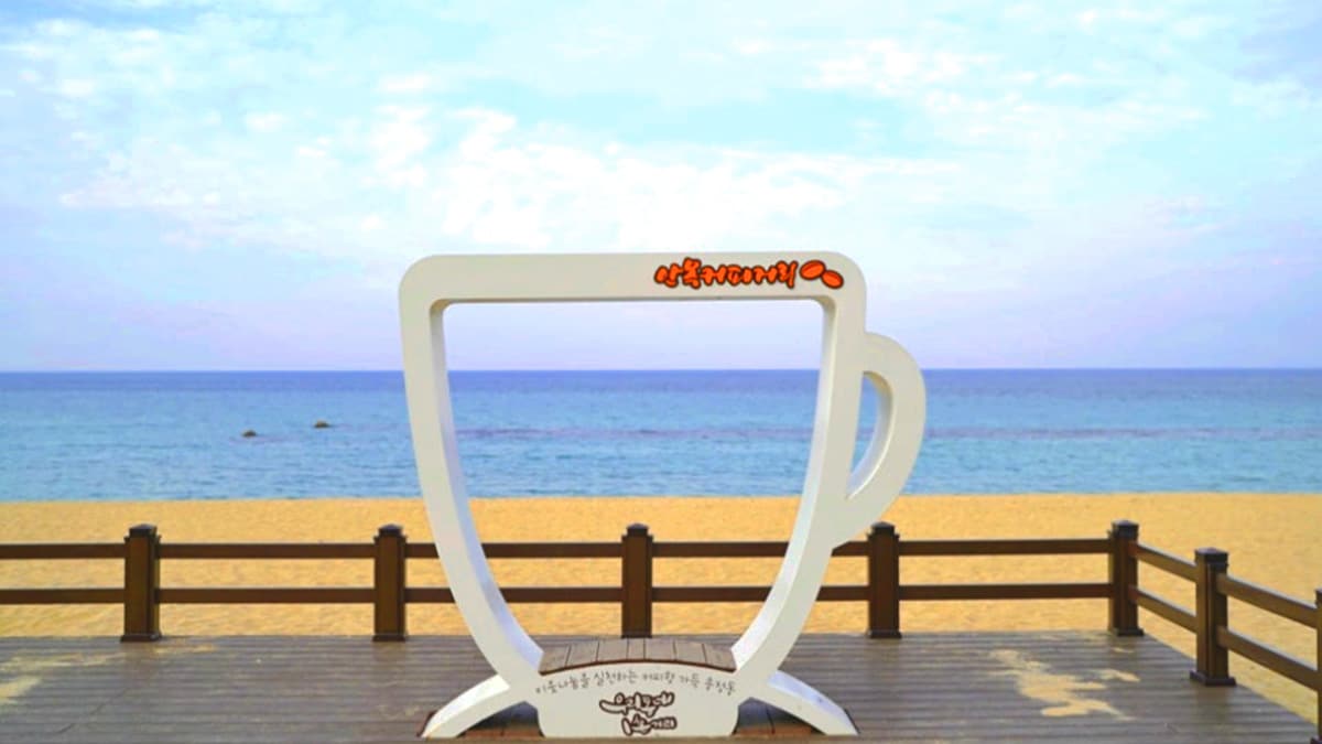 강릉 안목해변 강릉 안목해변
