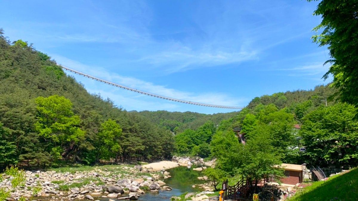 수승대 출렁다리 전경 수승대 출렁다리 전경