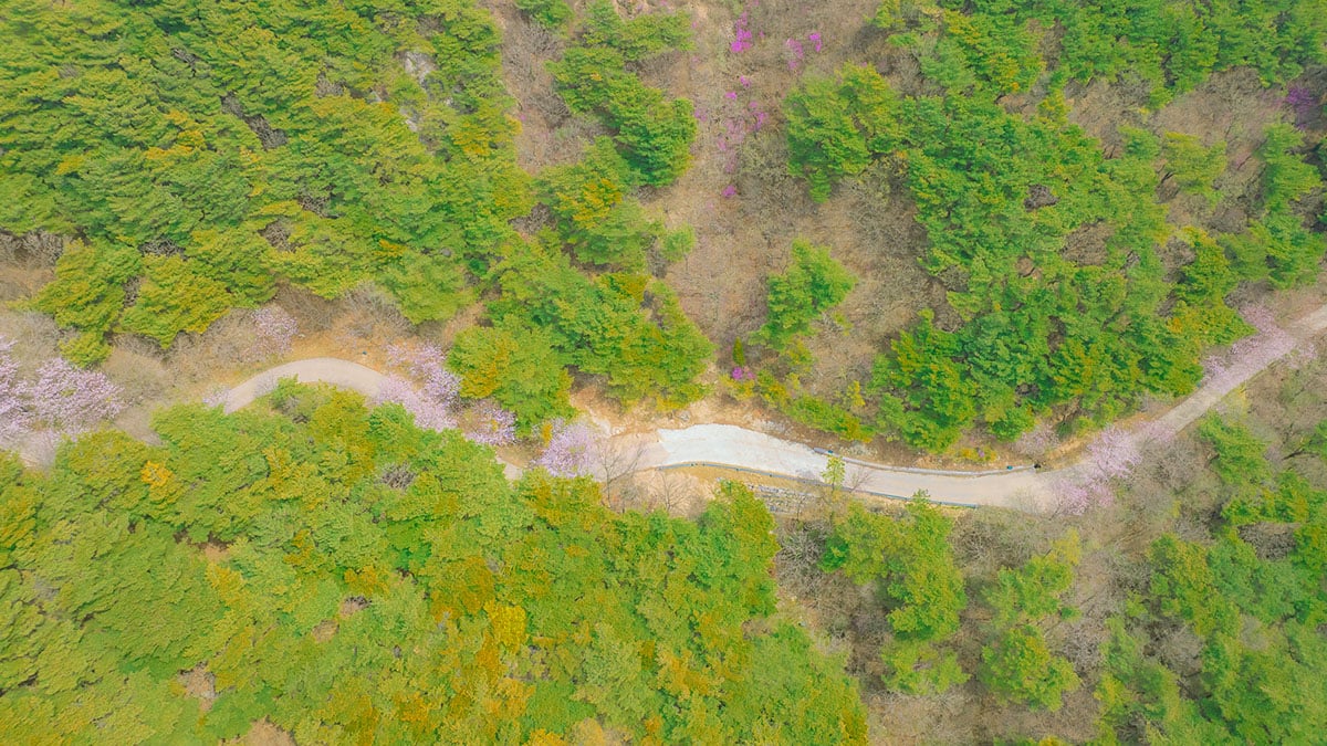 백월산 차로 등산 백월산 차로 등산