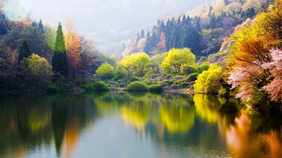 화순 세량지