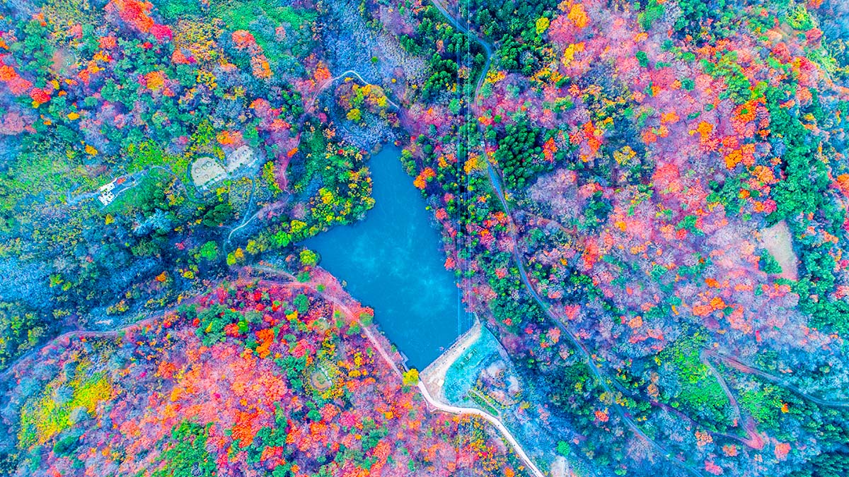 세량지 항공