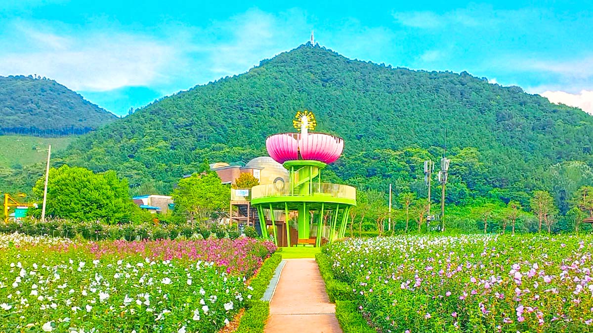 무궁화공원 무궁화공원