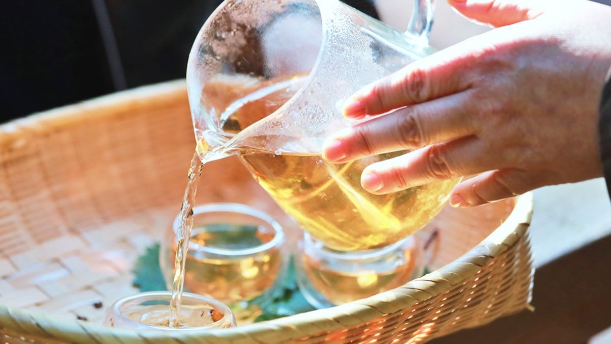 치유의 숲 산림치유프로그램 치유의 숲 산림치유프로그램