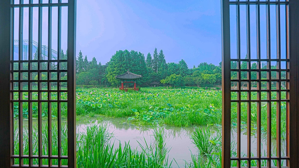 덕진공원