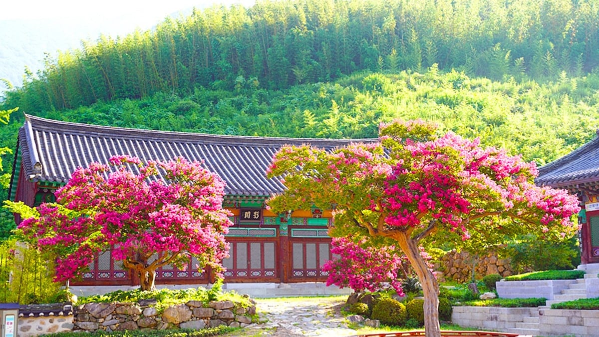 표충사 표충사