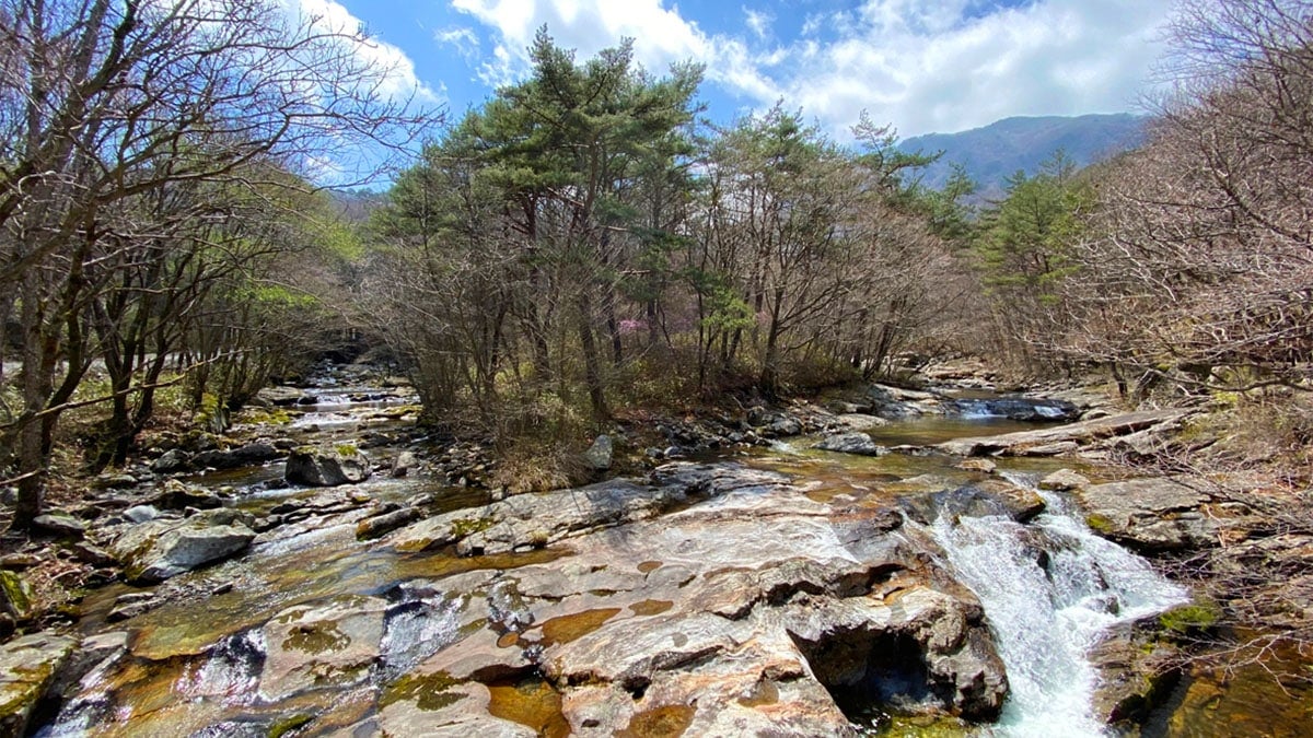 무주 무주