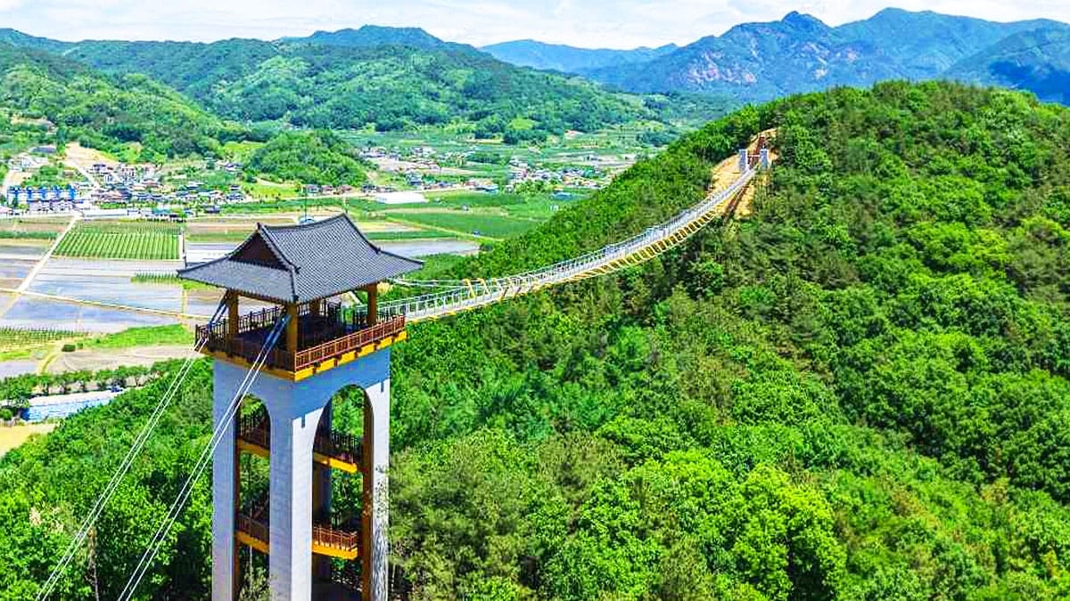 문경 봉명산 출렁다리 전경 문경 봉명산 출렁다리 전경