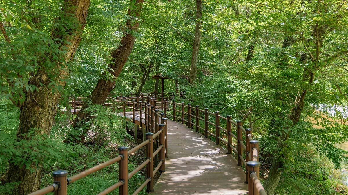 광릉숲길 광릉숲길
