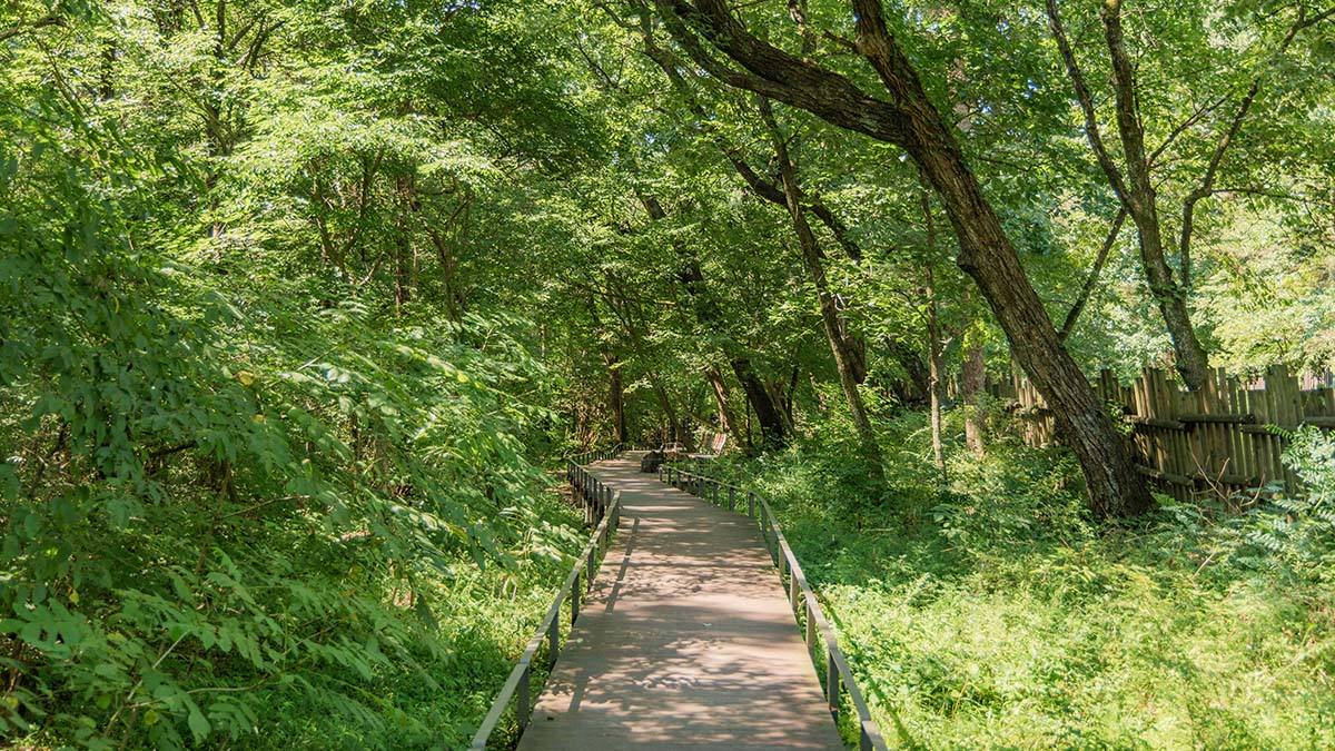 포천 숲길 포천 숲길