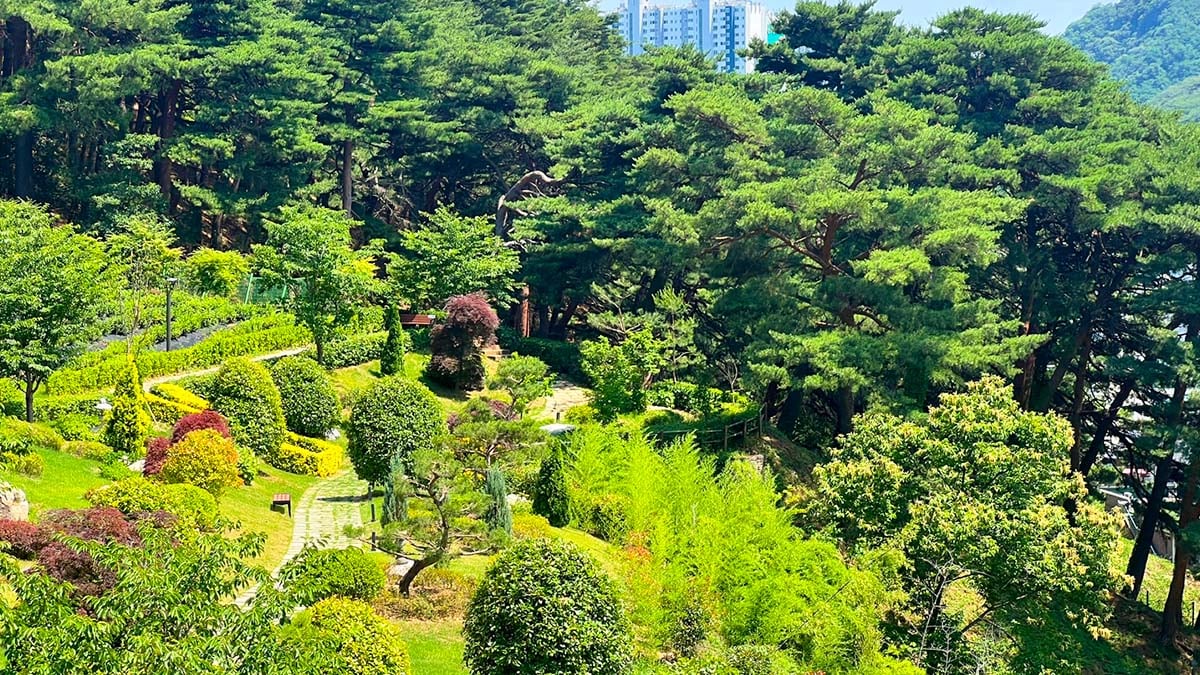 삼척 인의예지림 숲길