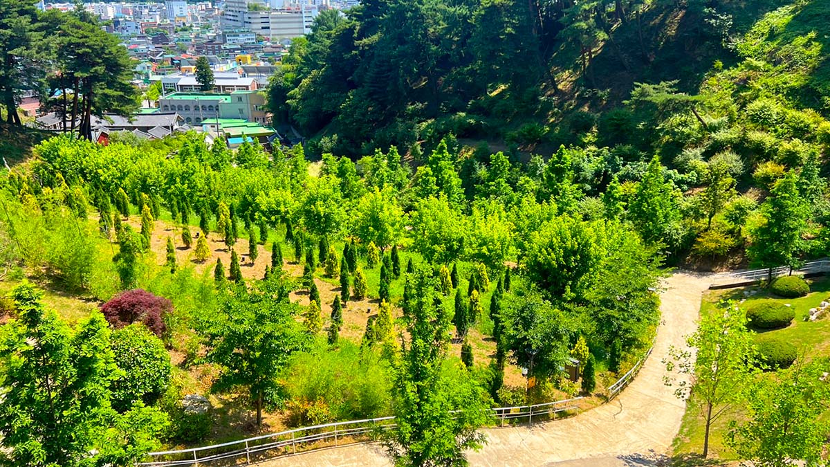 삼척 인의예지림 산책