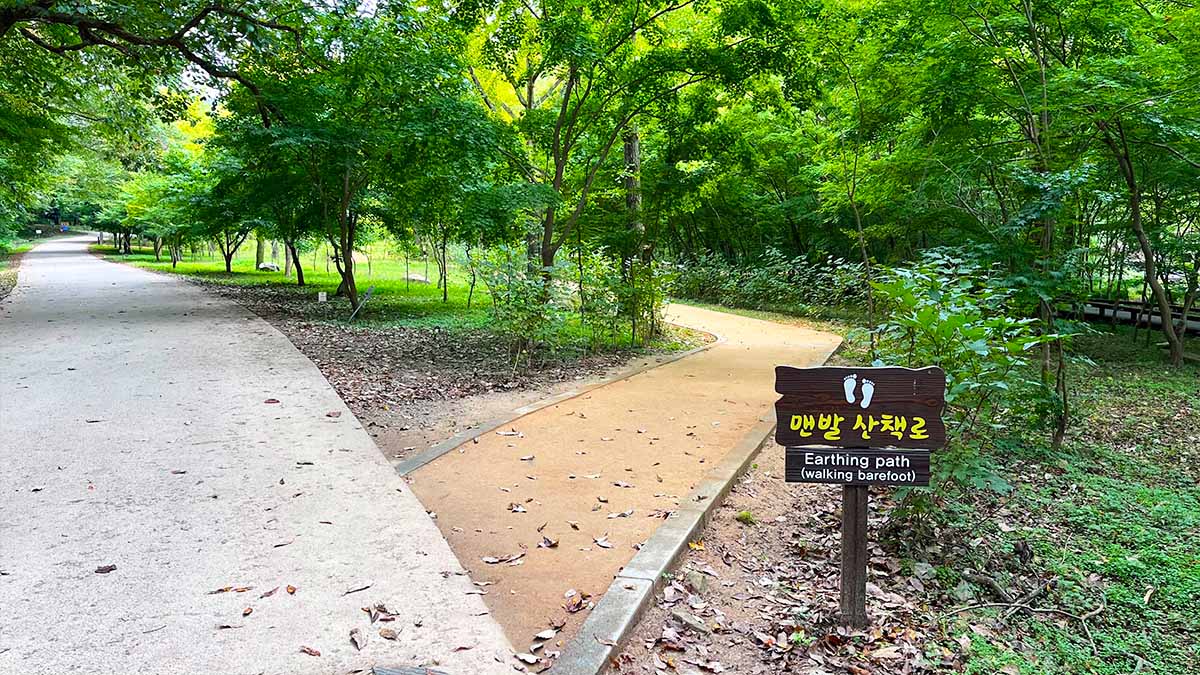선운산 맨발 산책로