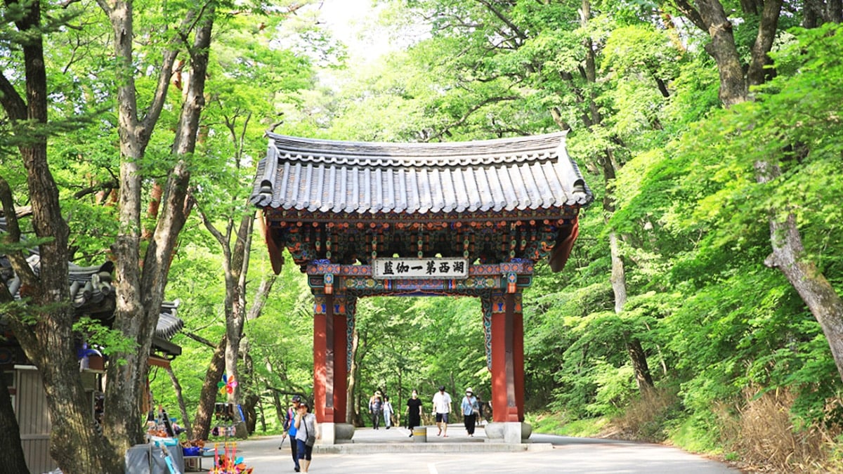 속리산 세조길 속리산 세조길
