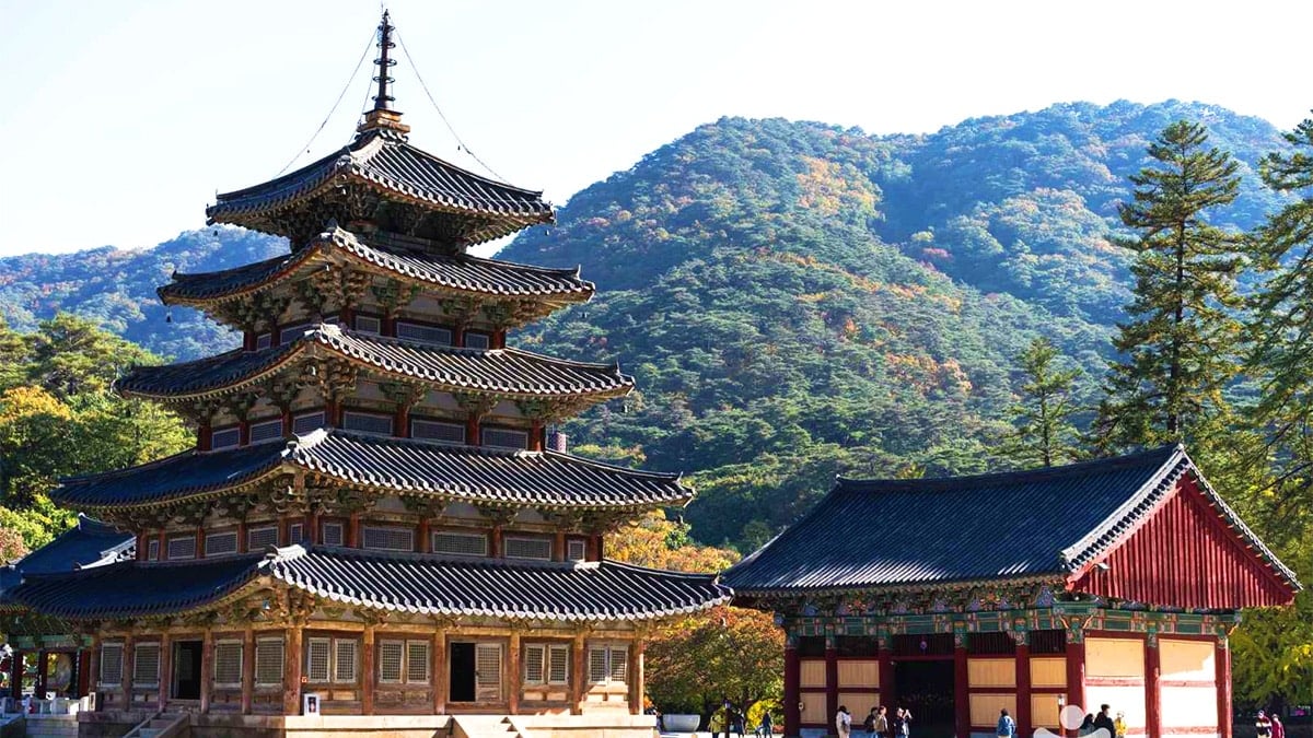 속리산 법주사 속리산 법주사