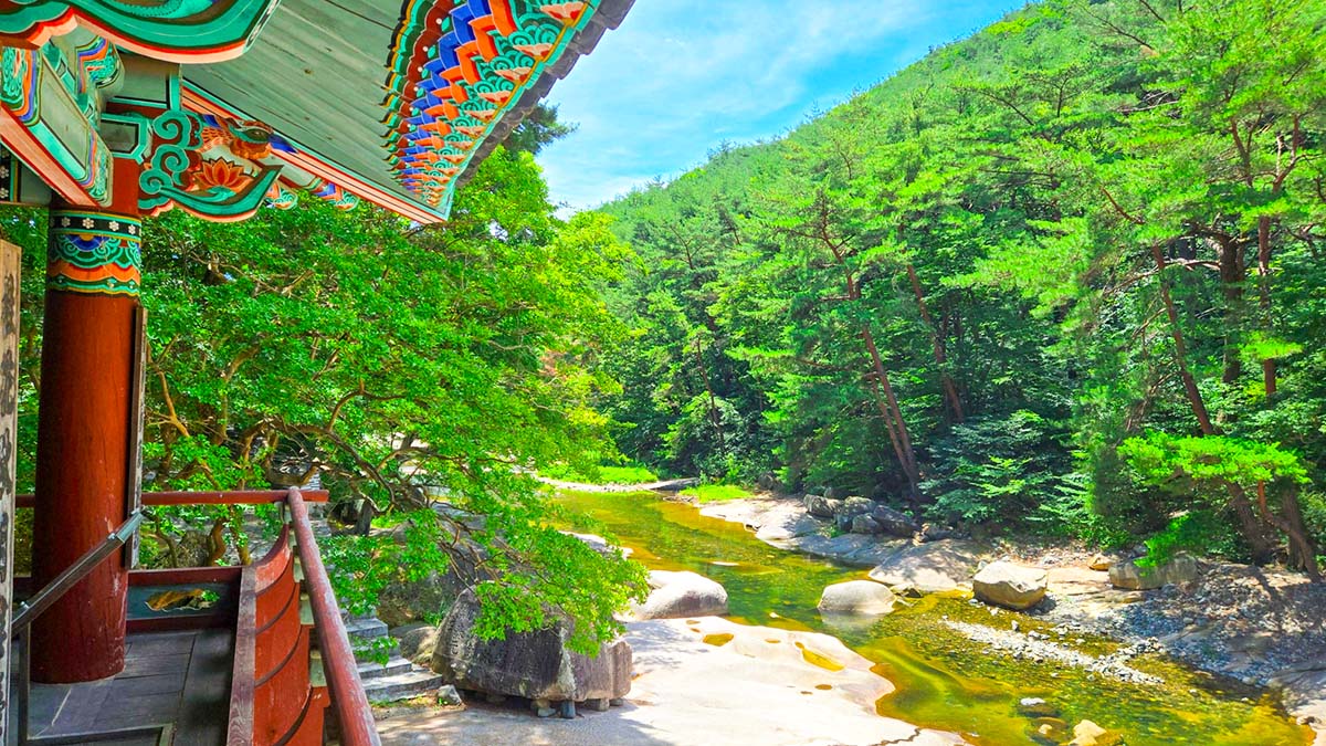 울산 작괘천 울산 작괘천