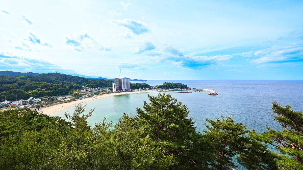 죽도 전망대에서 바라본 풍경
