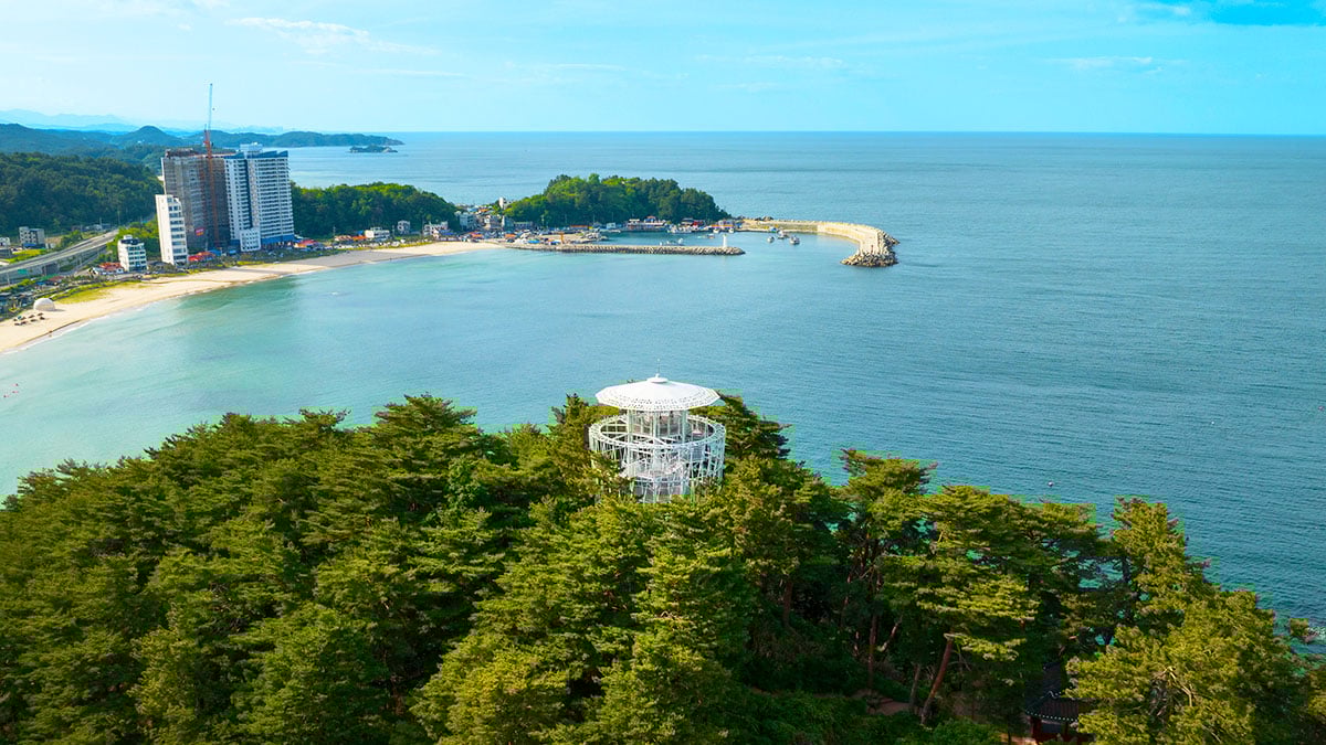 죽도 전망대 전경