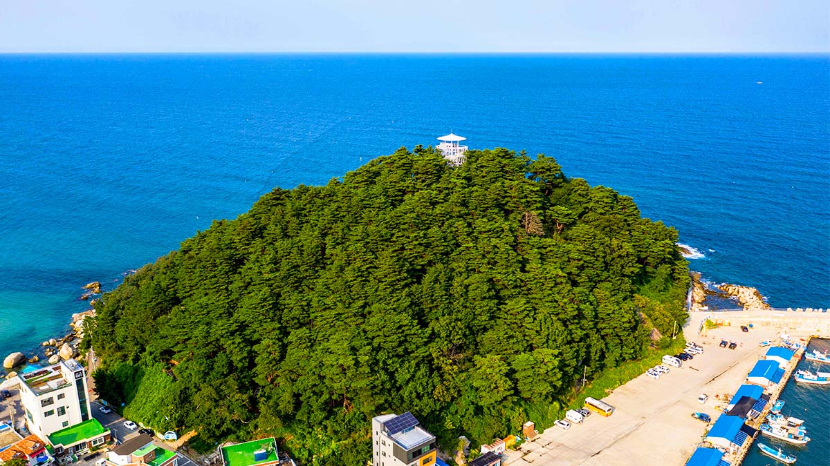 죽도산