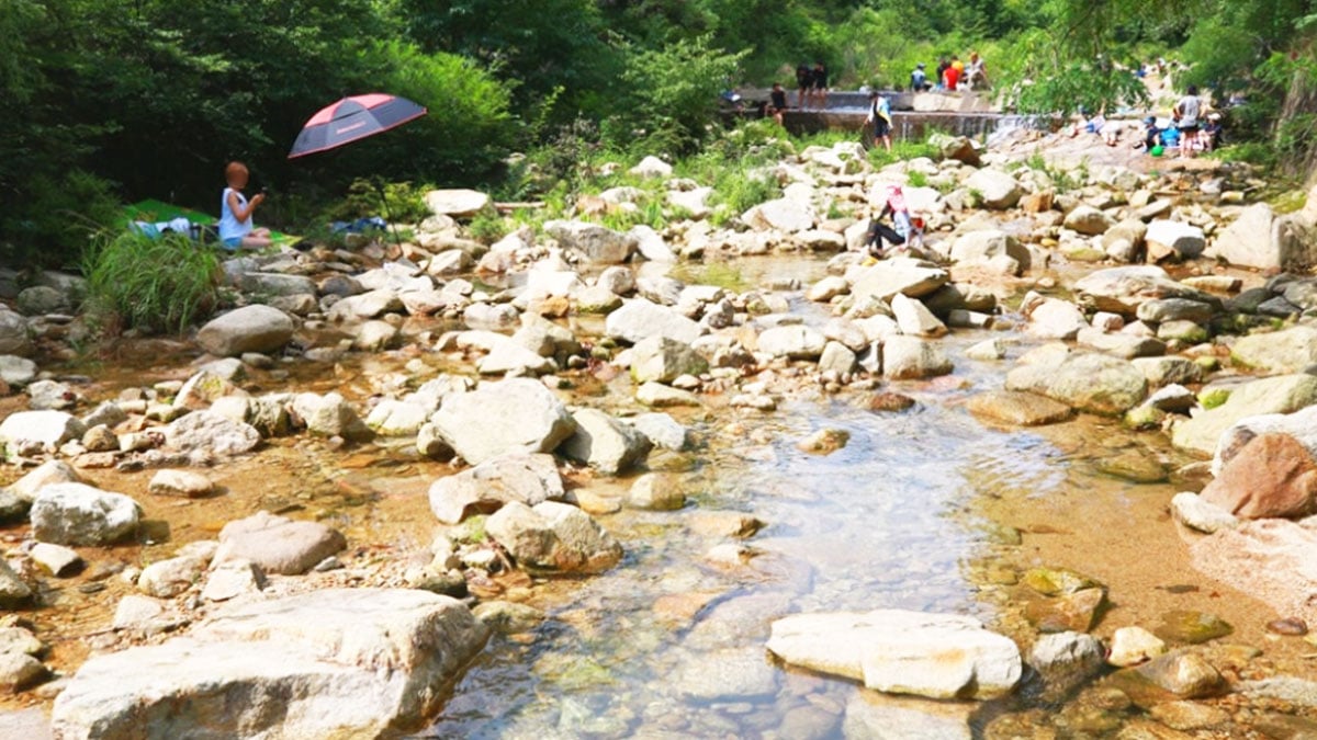 삼막사계곡 물놀이 삼막사계곡 물놀이