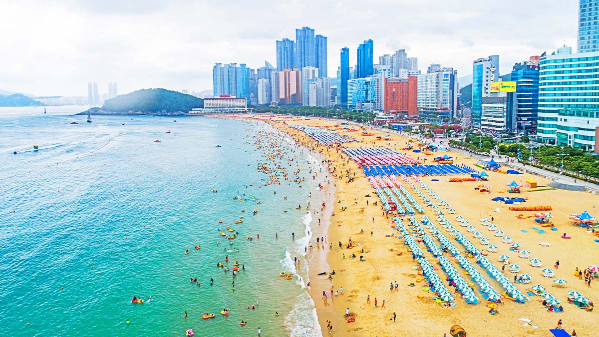 해운대해수욕장 전경