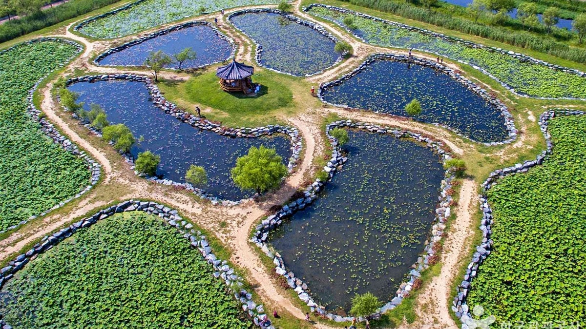 삼락생태공원 전경