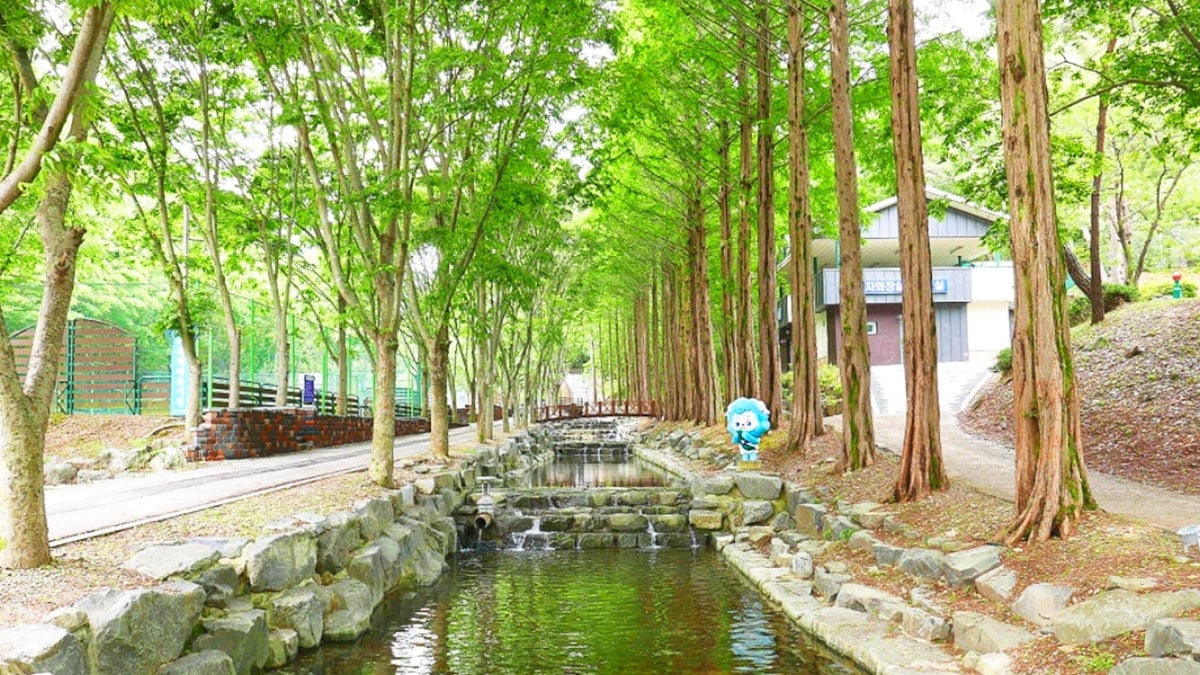 칠갑산자연휴양림