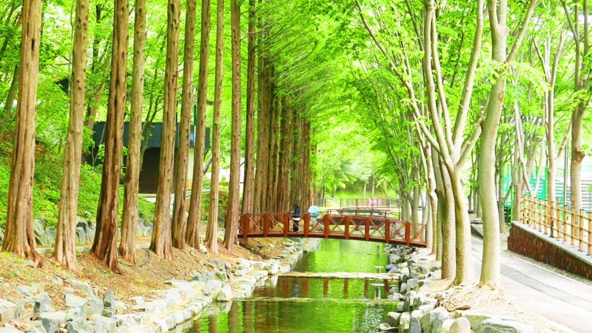 청양 칠갑산자연휴양림