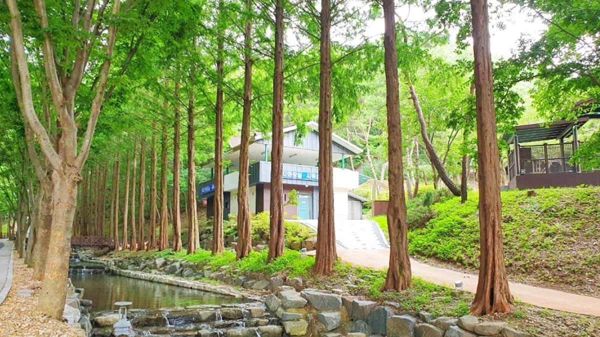 자연휴양림