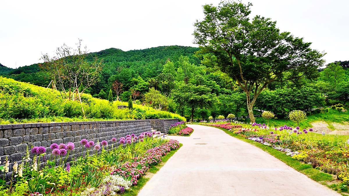 봉학골산림욕장 꽃의 길