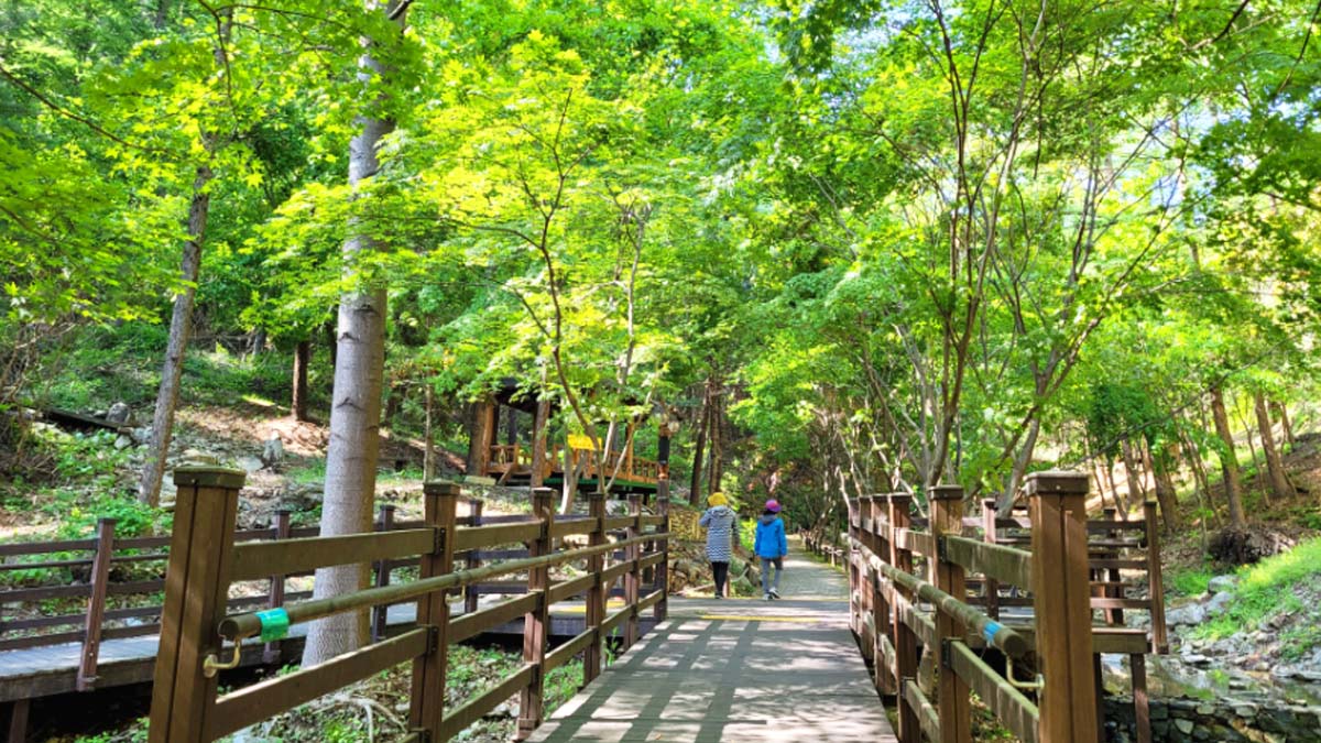봉학골 산림욕장