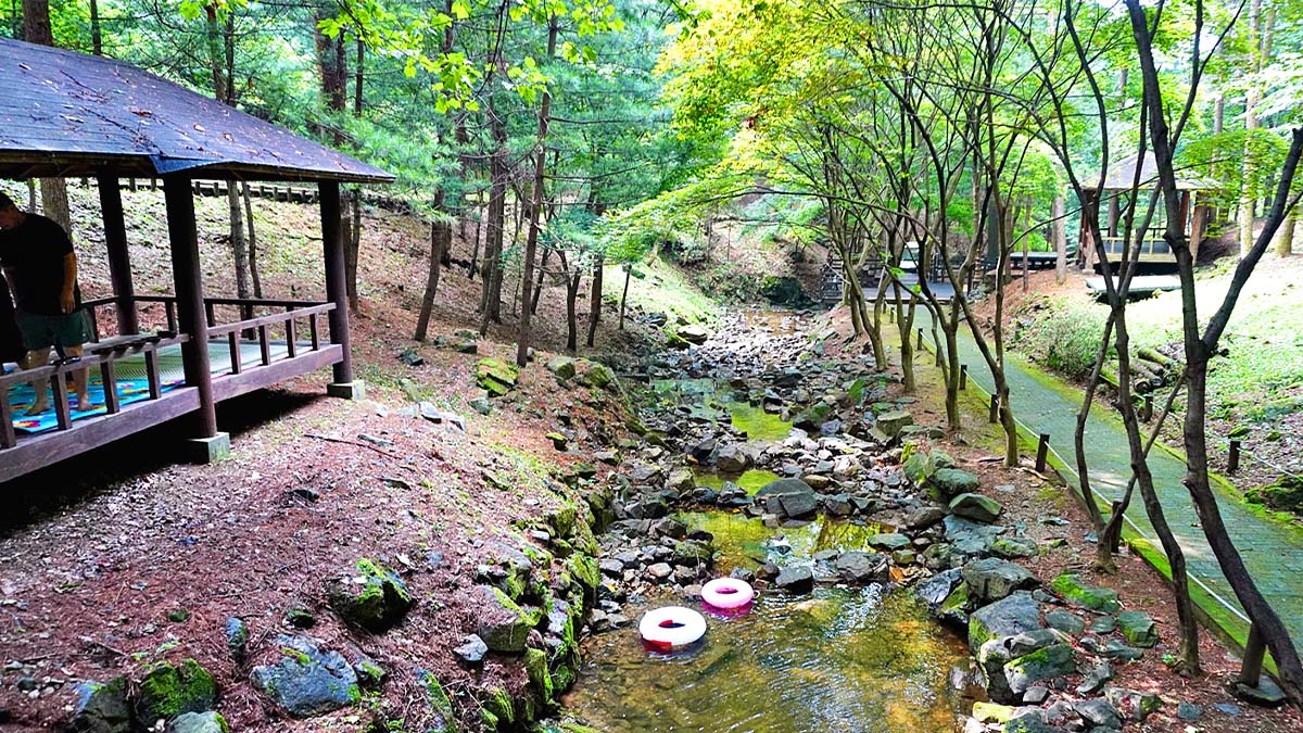 봉학골산림욕장 계곡 모습