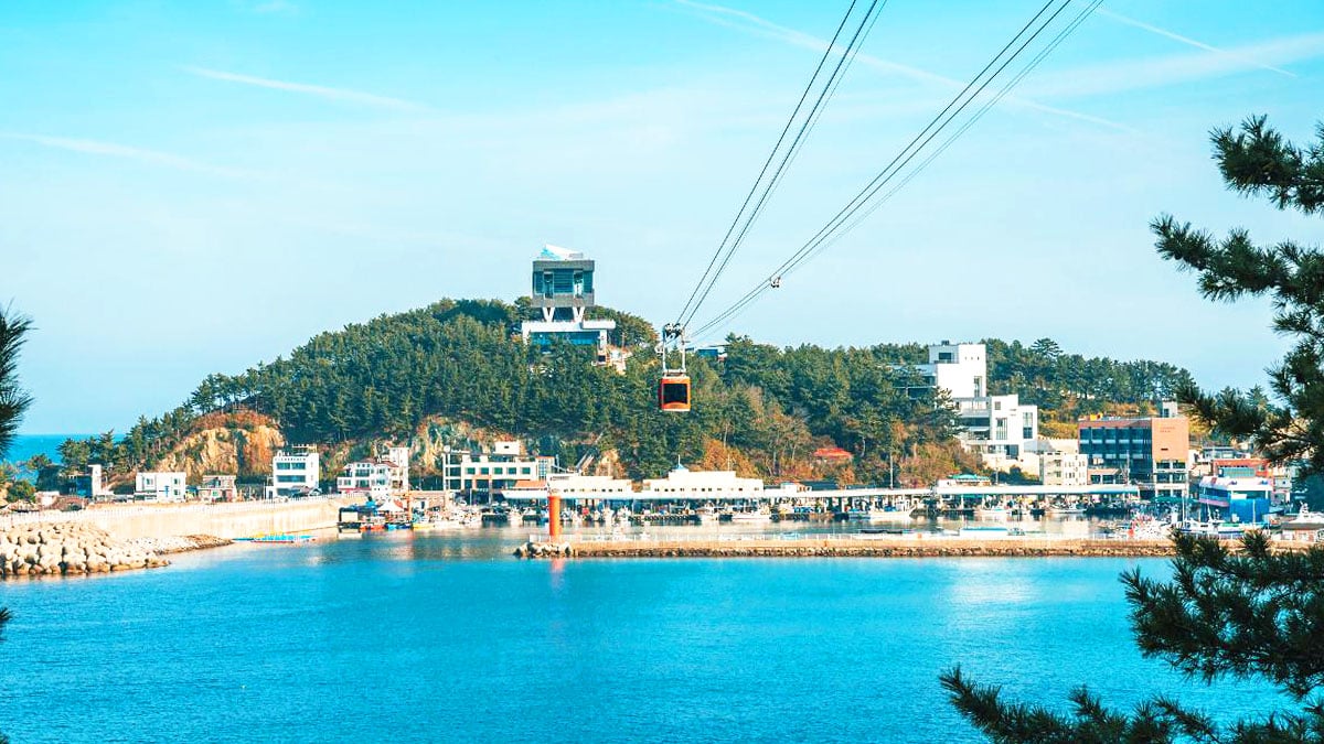 삼척 해상케이블카 모습 삼척 해상케이블카 모습