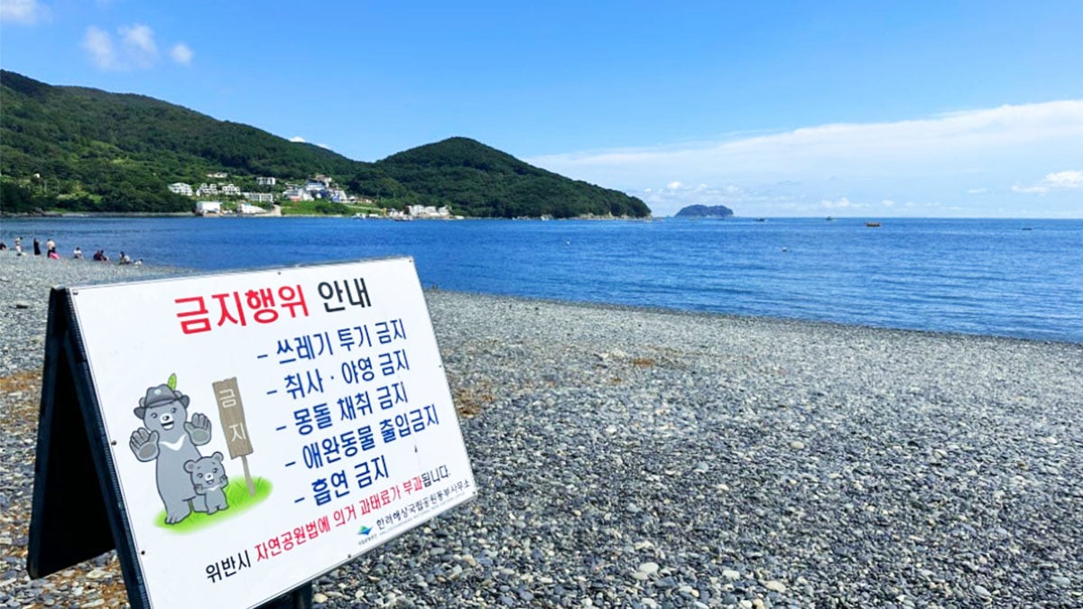 해수욕장 금지행위 안내 해수욕장 금지행위 안내