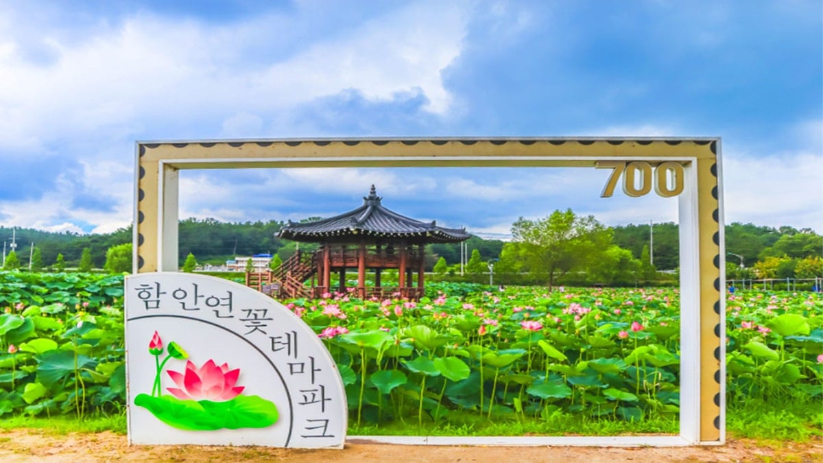 함안 연꽃테마파크 조형물 함안 연꽃테마파크 조형물