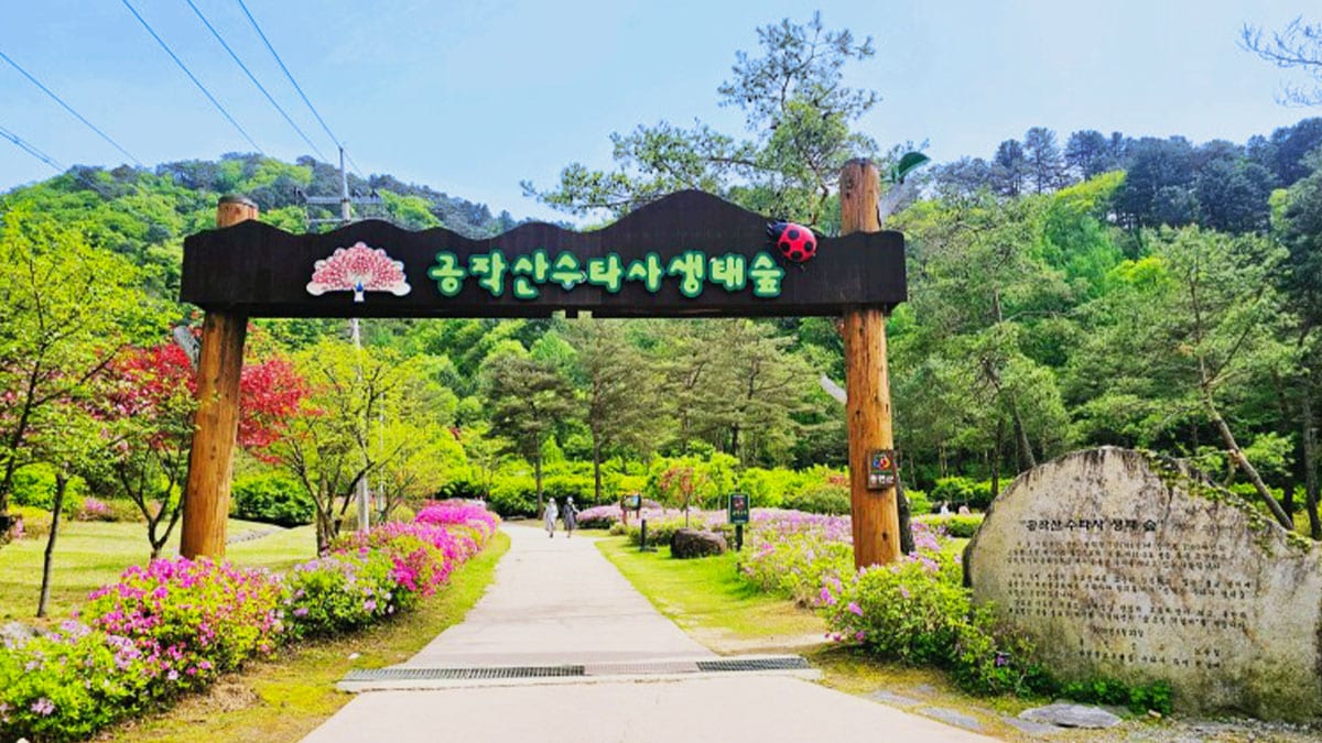 공작산 수타사 생태숲 입구 공작산 수타사 생태숲 입구