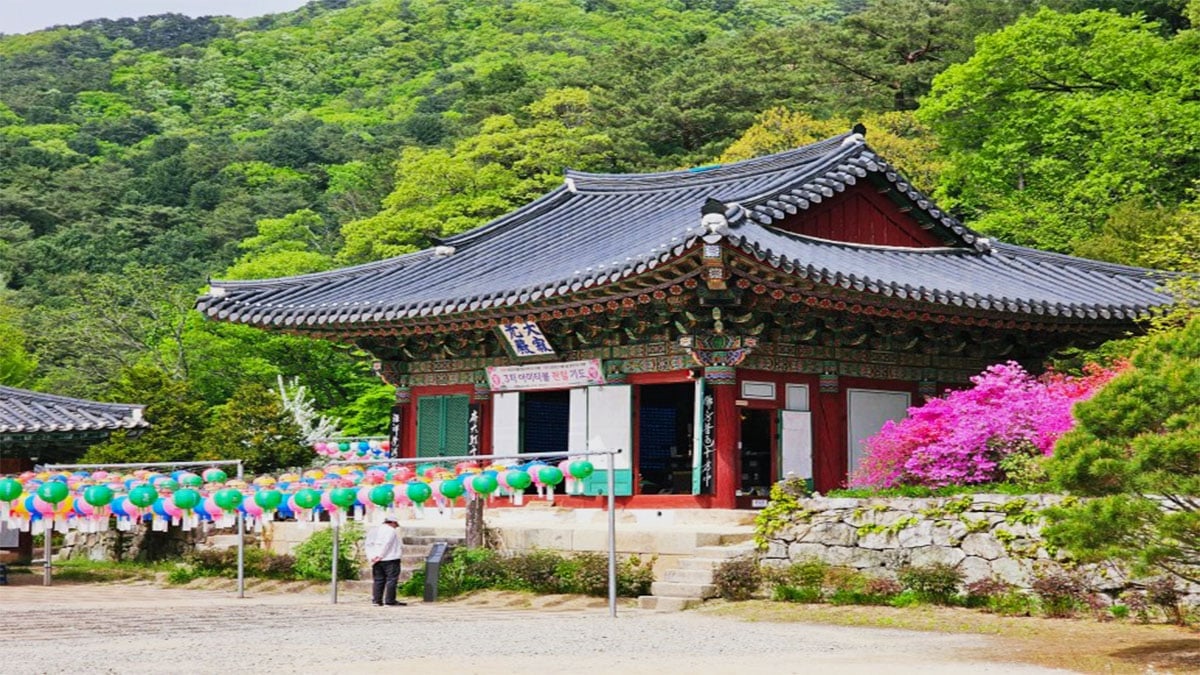 수타사 수타사