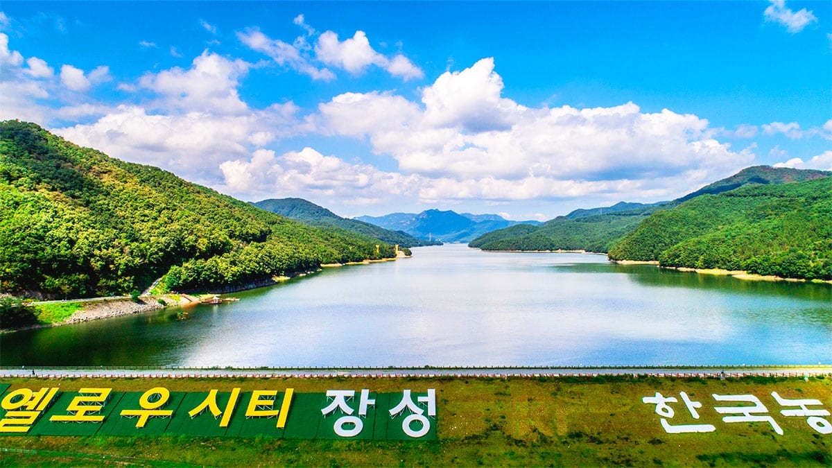 장성군 장성군