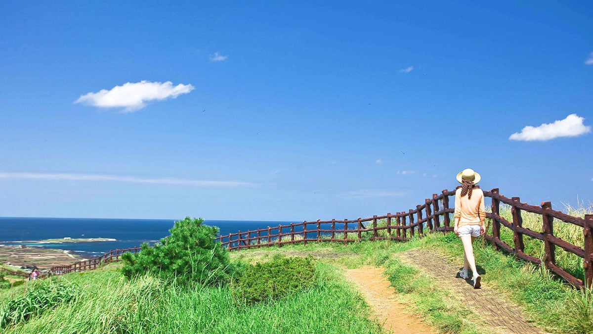제주 올레길 제주 올레길