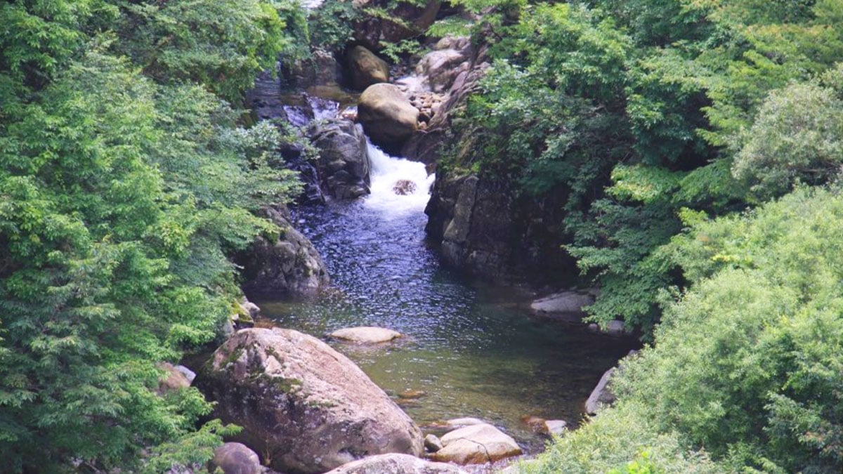 칠선계곡 전경 칠선계곡 전경