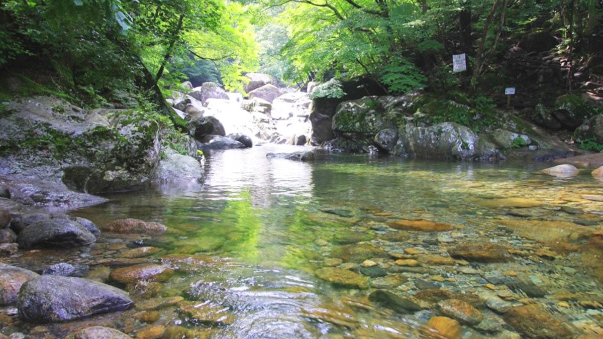 지리산 칠선계곡 지리산 칠선계곡