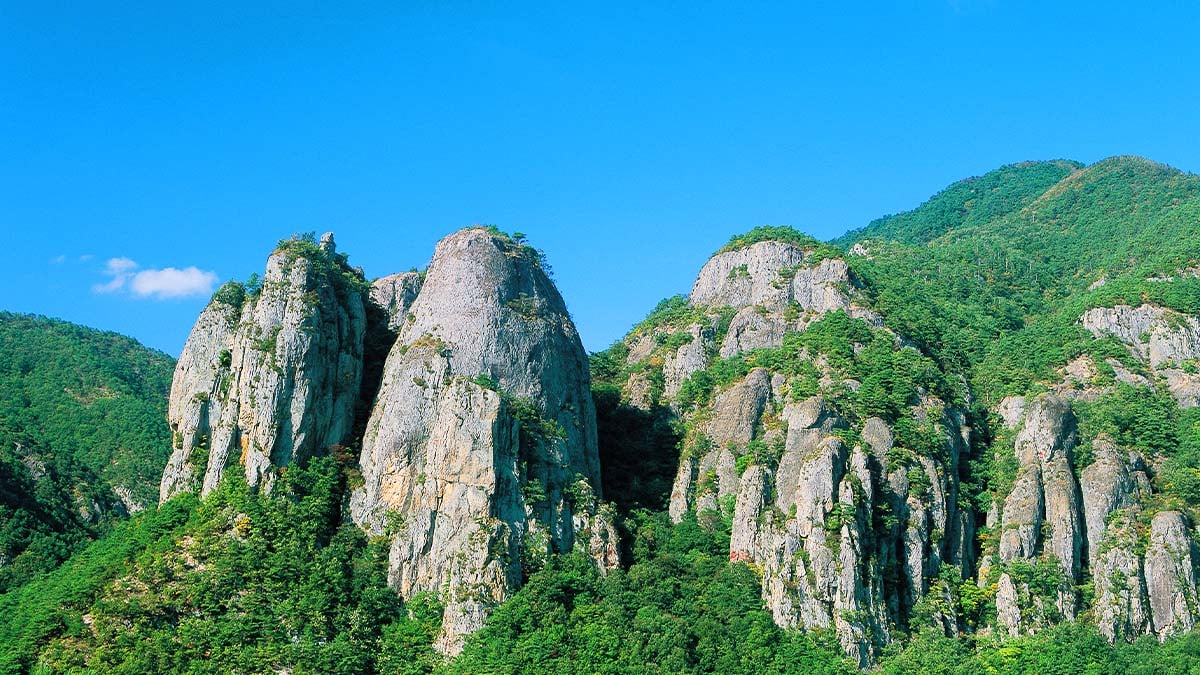 주왕산 주왕산